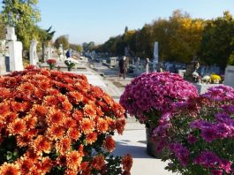Lucrările pe strada Tărpiului, sistate temporar de Luminație