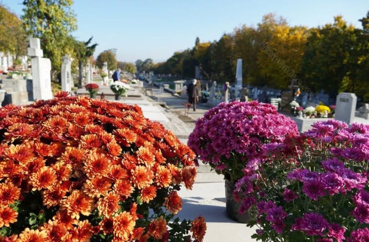 571230666_817498960974330_5036186088537385475_n