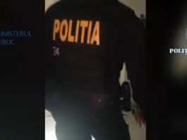 Cinci persoane din Șieu-Măgheruș și Dumitrița, cercetate pentru evaziune fiscală în afaceri cu cai